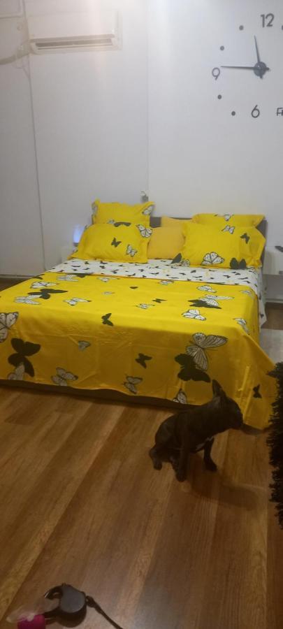 Appartamento Vlad's Unirii *