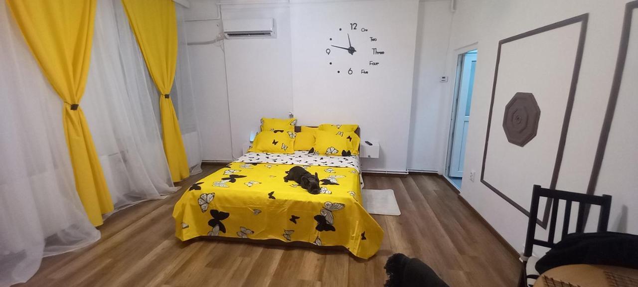 Vlad's Unirii Appartamento Bucarest